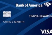 Experience Bank of America Premium Rewards Travel Benefits