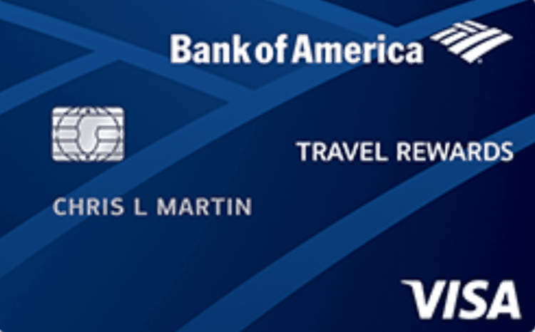 Experience Bank of America Premium Rewards Travel Benefits