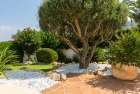 Mediterranean Garden Design: Bringing Warmth to Your Landscape