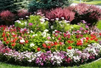 Perennial Gardens: Planting for Year-Round Beauty