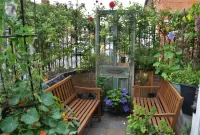 Small Space Garden Design: Maximizing Your Outdoor Area