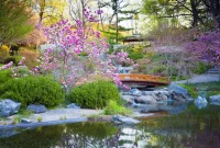 The Art of Japanese Garden Design