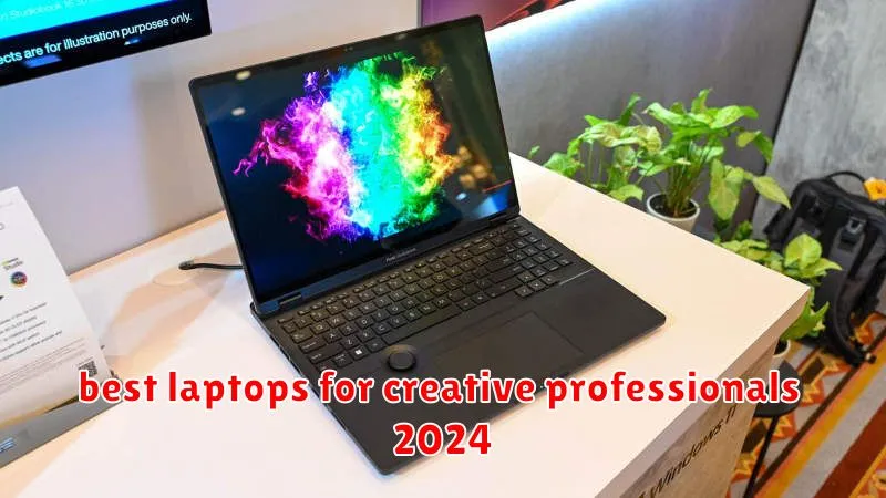 best laptops for creative professionals 2024