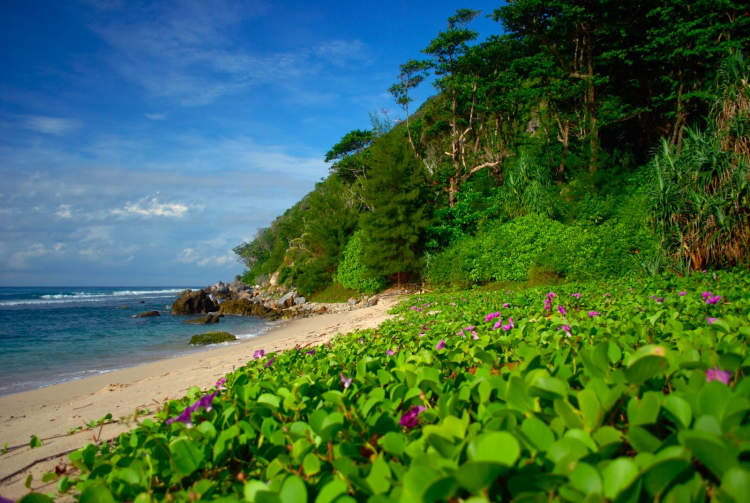 10 Best Tourist Attractions in Pesisir Barat, Indonesia