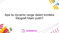 Apa itu dynamic range dalam konteks fotografi hitam putih?