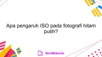 Apa pengaruh ISO pada fotografi hitam putih?