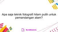 Apa saja teknik fotografi hitam putih untuk pemandangan alam?