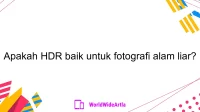 Apakah HDR baik untuk fotografi alam liar?