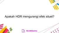 Apakah HDR mengurangi efek siluet?