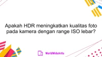 Apakah HDR meningkatkan kualitas foto pada kamera dengan range ISO lebar?