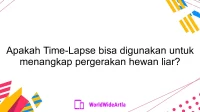 Apakah Time-Lapse bisa digunakan untuk menangkap pergerakan hewan liar?