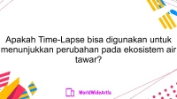 Apakah Time-Lapse bisa digunakan untuk menunjukkan perubahan pada ekosistem air tawar?