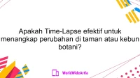 Apakah Time-Lapse efektif untuk menangkap perubahan di taman atau kebun botani?