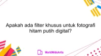 Apakah ada filter khusus untuk fotografi hitam putih digital?