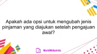 Apakah ada opsi untuk mengubah jenis pinjaman yang diajukan setelah pengajuan awal?