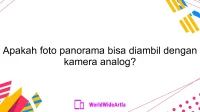 Apakah foto panorama bisa diambil dengan kamera analog?