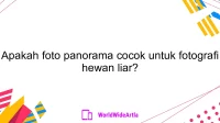 Apakah foto panorama cocok untuk fotografi hewan liar?