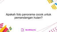 Apakah foto panorama cocok untuk pemandangan hutan?