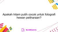 Apakah hitam putih cocok untuk fotografi hewan peliharaan?