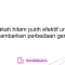 Apakah hitam putih efektif untuk menggambarkan perbedaan generasi?