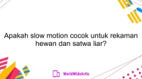 Apakah slow motion cocok untuk rekaman hewan dan satwa liar?