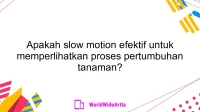 Apakah slow motion efektif untuk memperlihatkan proses pertumbuhan tanaman?