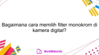 Bagaimana cara memilih filter monokrom di kamera digital?