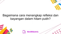 Bagaimana cara menangkap refleksi dan bayangan dalam hitam putih?