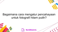 Bagaimana cara mengatur pencahayaan untuk fotografi hitam putih?