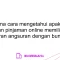 Bagaimana cara mengetahui apakah suatu layanan pinjaman online memiliki opsi pembayaran angsuran dengan bunga tetap?