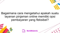 Bagaimana cara mengetahui apakah suatu layanan pinjaman online memiliki opsi pembayaran yang fleksibel?