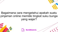 Bagaimana cara mengetahui apakah suatu pinjaman online memiliki tingkat suku bunga yang wajar?