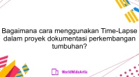 Bagaimana cara menggunakan Time-Lapse dalam proyek dokumentasi perkembangan tumbuhan?