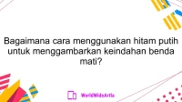 Bagaimana cara menggunakan hitam putih untuk menggambarkan keindahan benda mati?