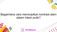 Bagaimana cara menonjolkan kontrast alam dalam hitam putih?