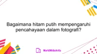 Bagaimana hitam putih mempengaruhi pencahayaan dalam fotografi?